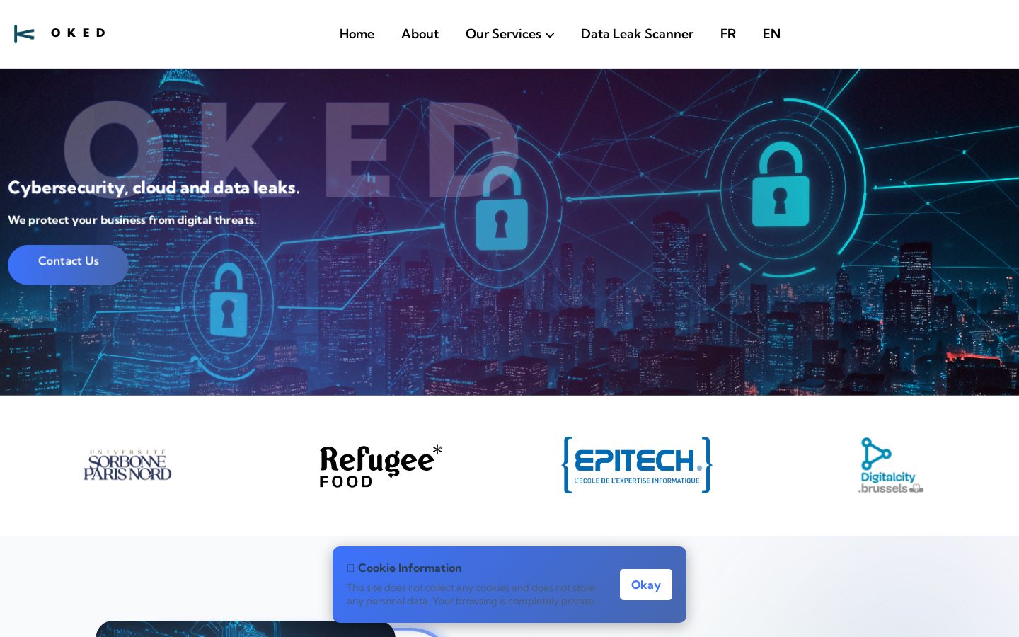 Aperçu du site OKED